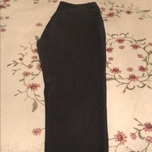 Designer Plus Size Pants